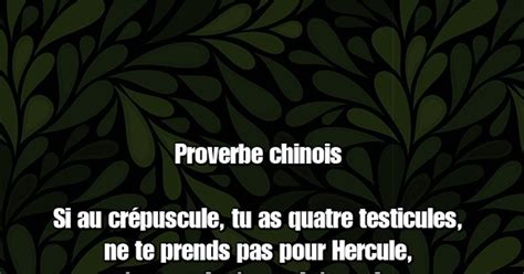 proverbes droles chinois|proverbes de la chinese.